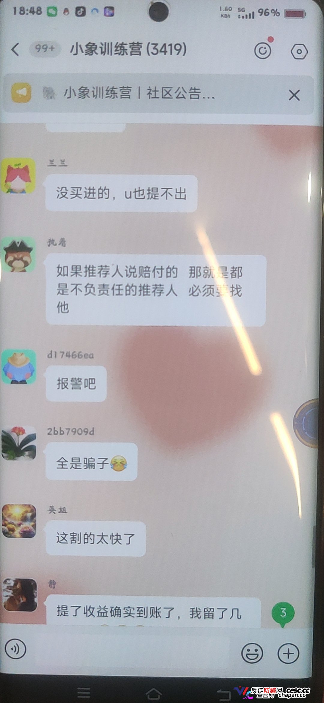 大象社区杀猪盘全面崩盘血洗实录：一夜爆仓4000万，群内全员禁言，狗托＂兵哥＂还在忽悠充值抄底，受害者已集体报警！(1)