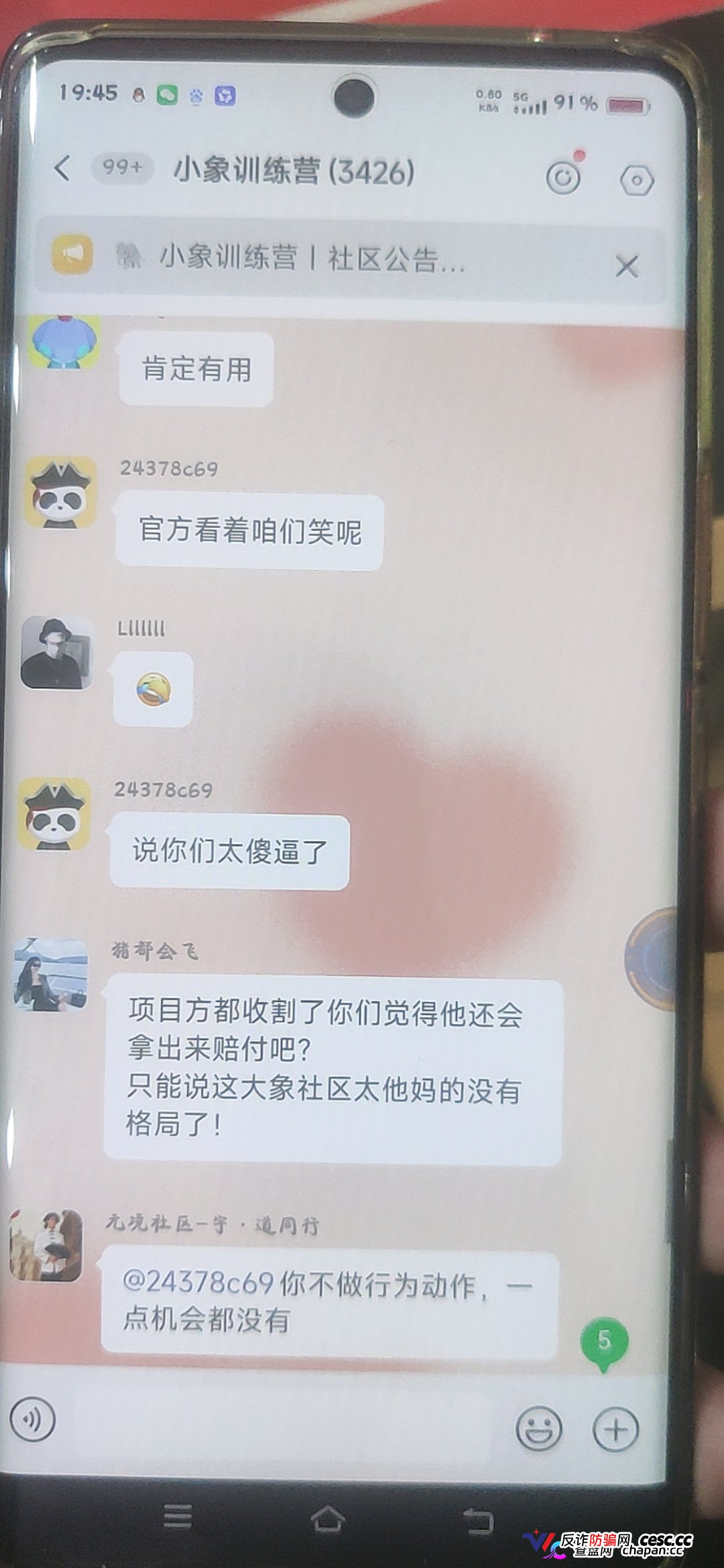 大象社区杀猪盘全面崩盘血洗实录：一夜爆仓4000万，群内全员禁言，狗托＂兵哥＂还在忽悠充值抄底，受害者已集体报警！(2)